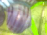 290920112999
