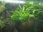 IMG 5828