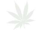 user150425 pic81802 1300231020