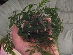 IMG 5843