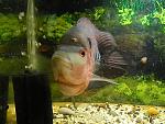 DSCN1753