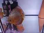 P8050009