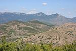 IMG 0083