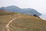 IMG 9741