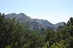 IMG 0062