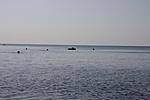 IMG 9869