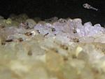 IMG 5587 1