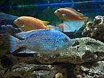 DSC03501a