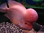 DSC03548a