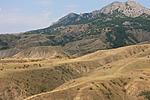 IMG 9775