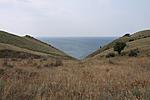IMG 9765