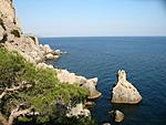 IMG 7171