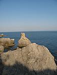 IMG 7177