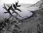 IMG 6928