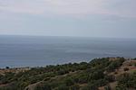 IMG 0091