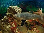 DSC03527a