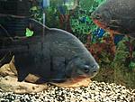 DSC03569a