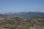 IMG 0085