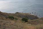IMG 9755