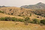 IMG 9725