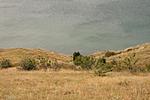 IMG 9728