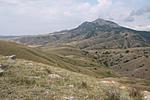 IMG 9745