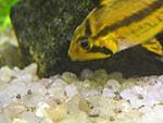 IMG 5589 1