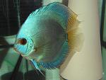 IMG 3263[1]