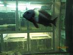 IMG 0637[1]