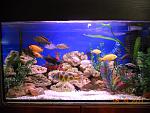 DSCN0399