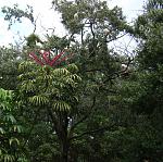 DSC02591