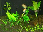 IMG 3286