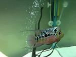 IMG 0049[1]