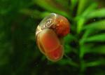 IMG 5683