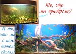 2- , 60,  ,     )))