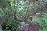 DSC01557