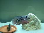 IMG 0046[1]
