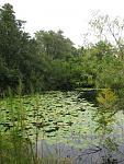 IMG 0461