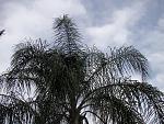 DSC02354