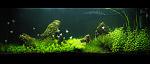 aqua 22 10 11 toSend
