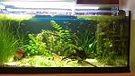 IMAG0047