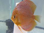 IMG 3486[1]