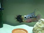 IMG 0021[1]