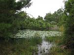 IMG 0463