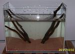 2011 10 02  1
