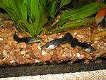 IMG 5656