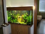 IMG 0009