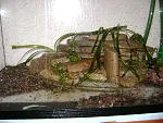 DSC07750