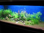 IMG 1198[1]