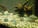 PIC 0714